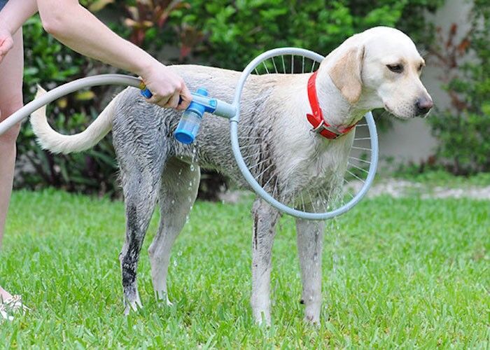 Fully automatic 360 degree pet  bath ring