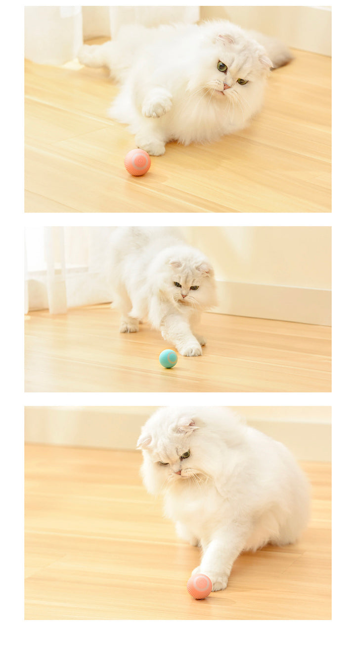 Automatic Cat Teaser Ball