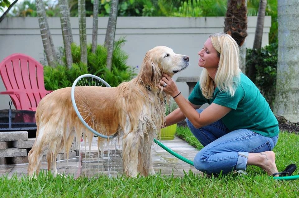 Fully automatic 360 degree pet  bath ring