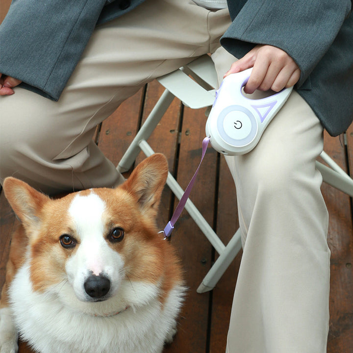 Retractable Dog Leash with LED Collar