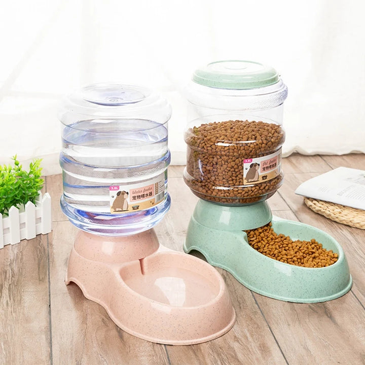 Pet Food & Water Bowl