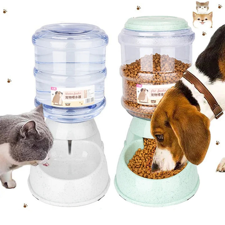 Pet Food & Water Bowl