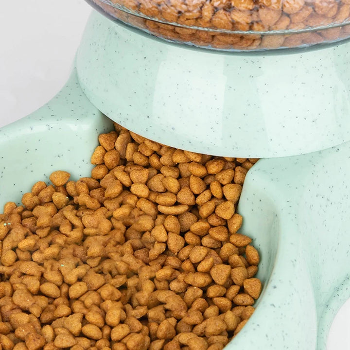 Pet Food & Water Bowl